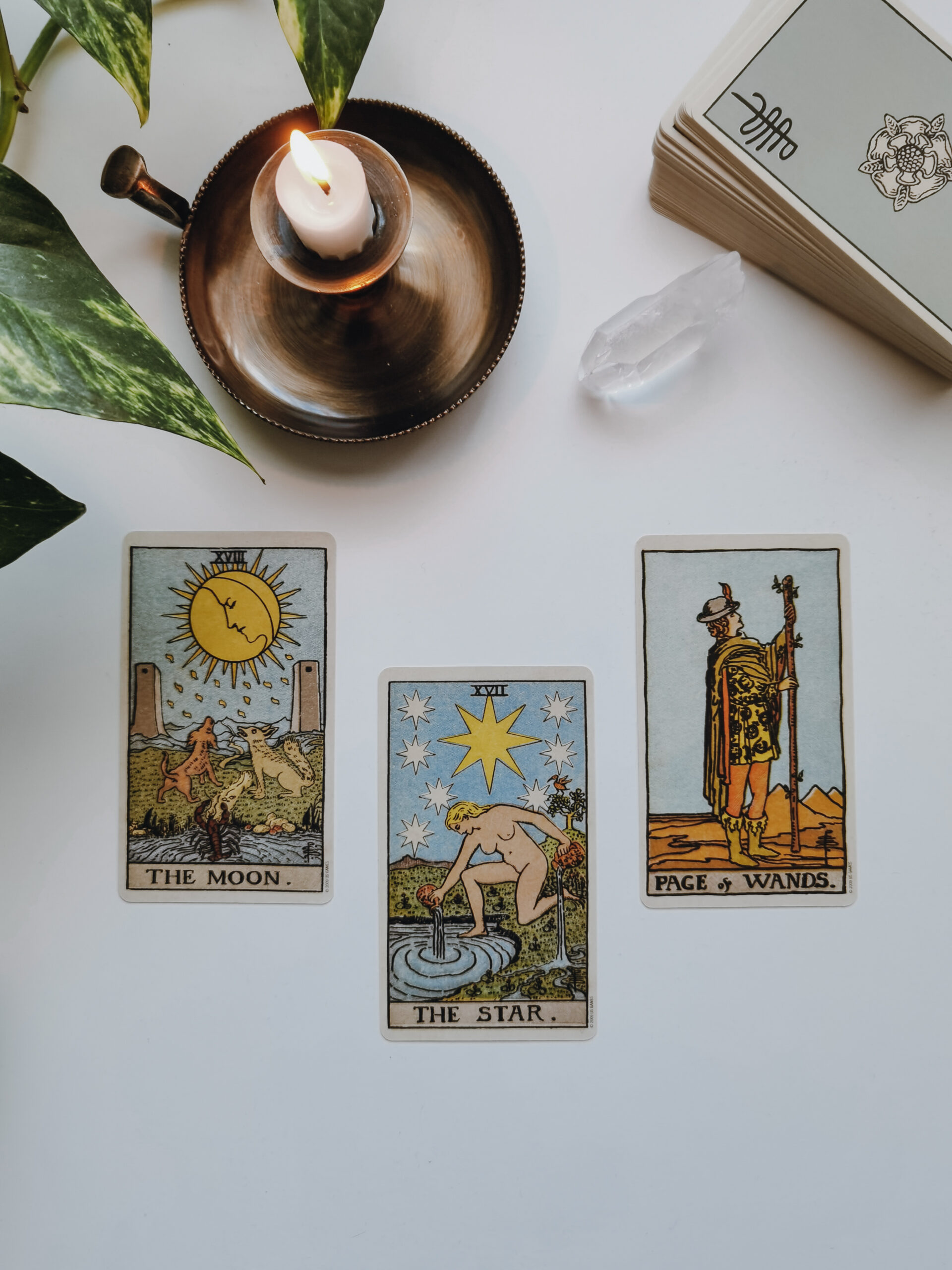 Talento y propósito